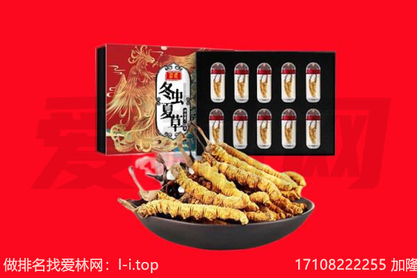台江区回收虫草.jpg